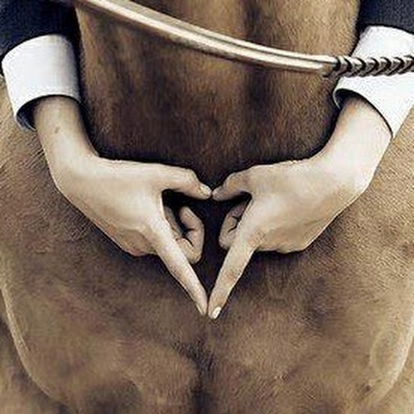 Meet your Posher, Audrey - Picture 2 of 2